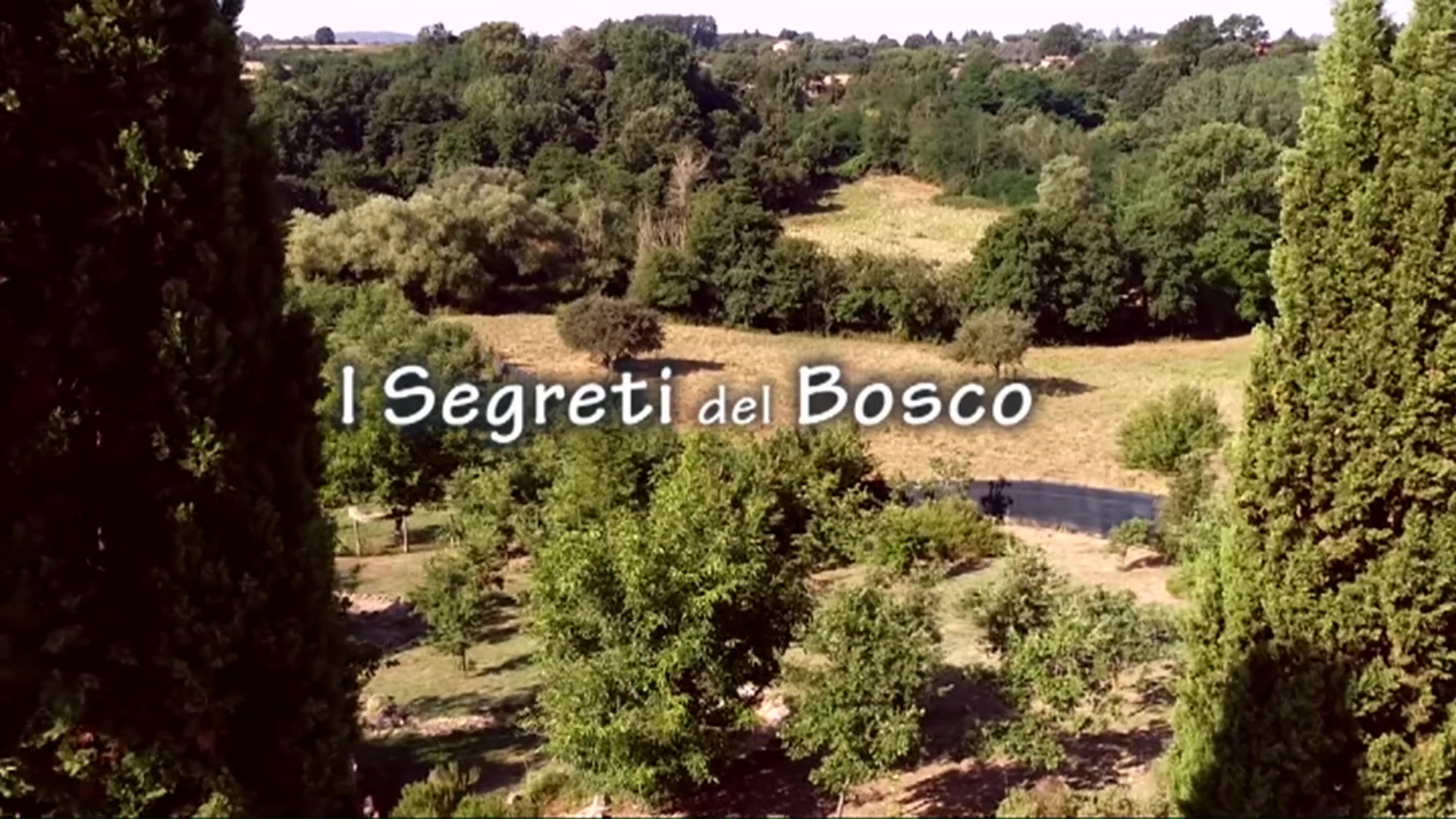 I SEGRETI DEL BOSCO Thumbnail