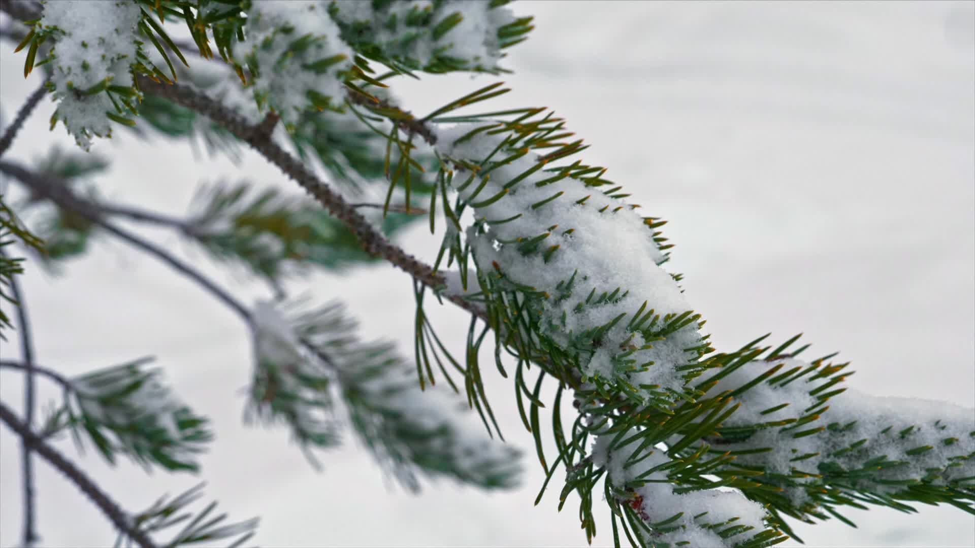 K AROUND THE WORLD S1 EP05 Thumbnail