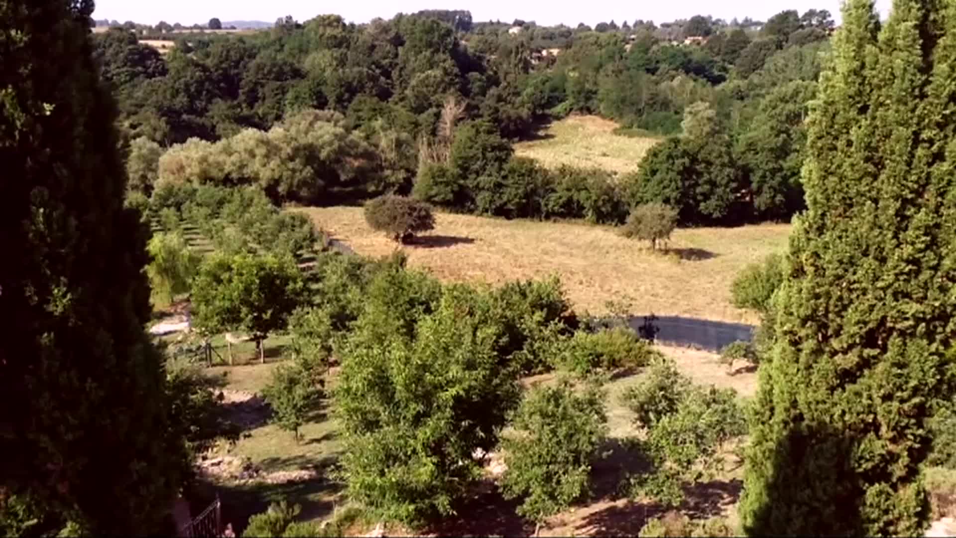 I SEGRETI DEL BOSCO S1 EP09 Thumbnail
