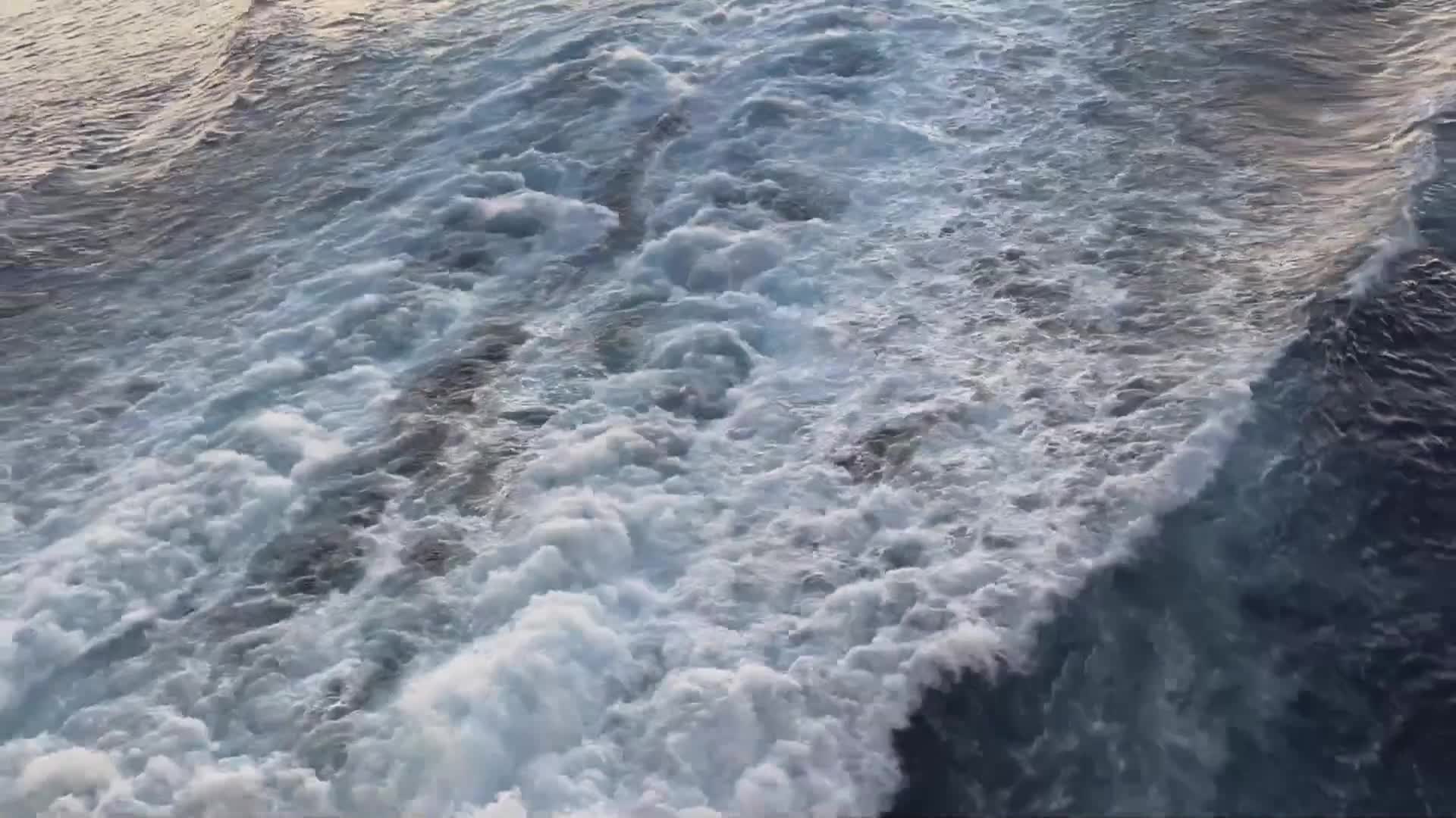 I SAPORI DEL SOLE IN CROCIERA S11 EP19 Thumbnail