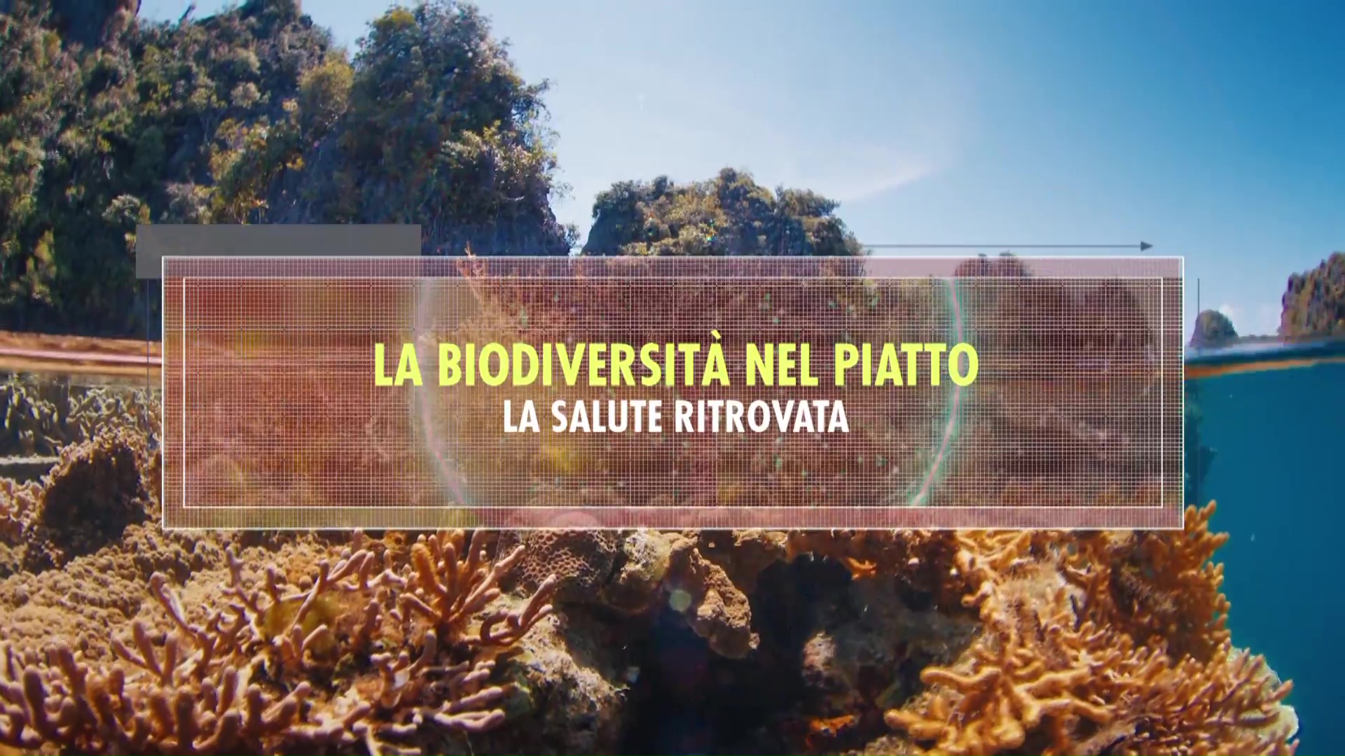BIODIVERSITA