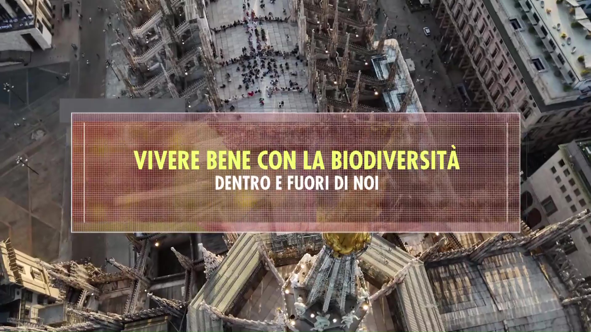 BIODIVERSITA
