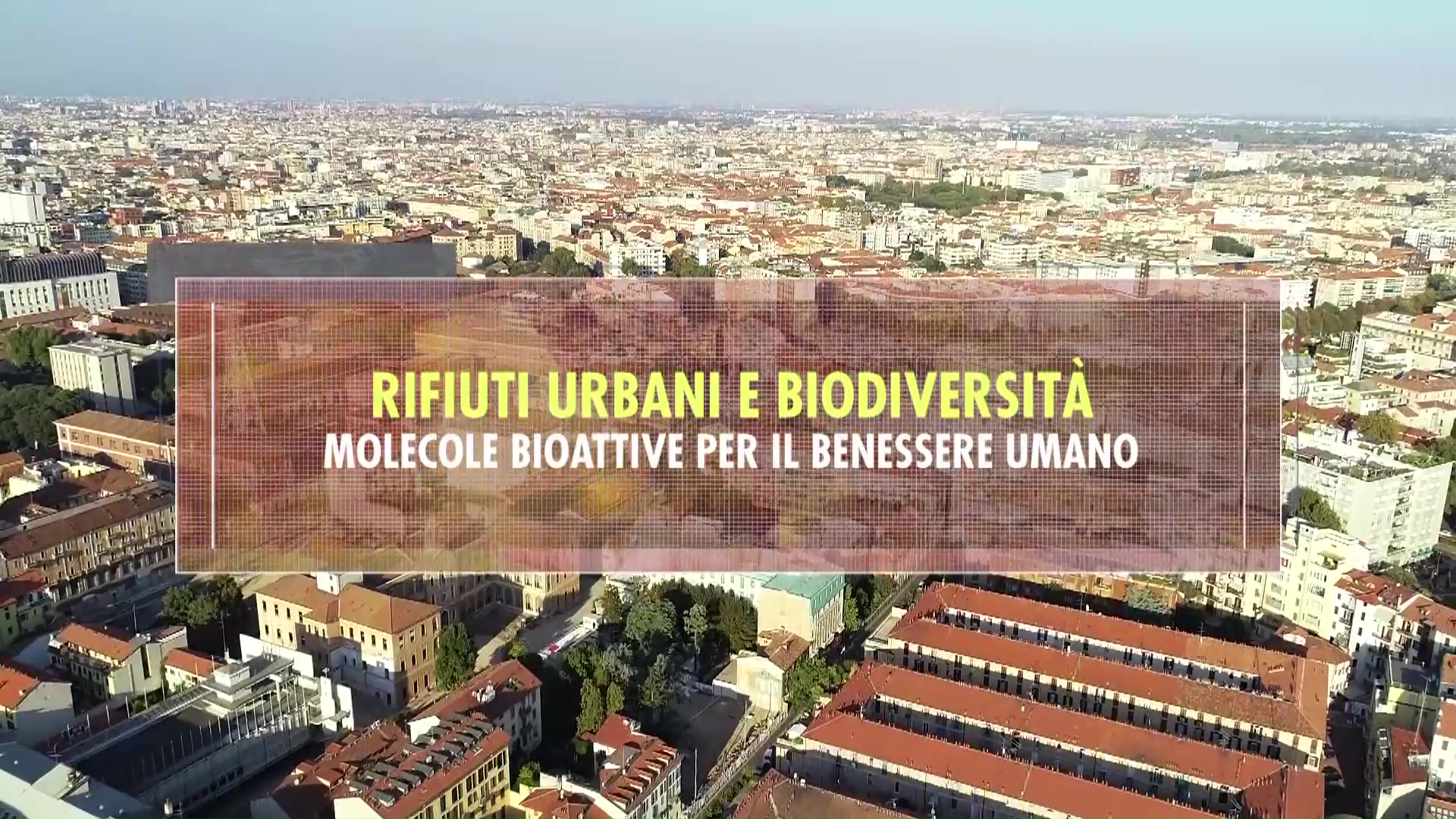 BIODIVERSITA