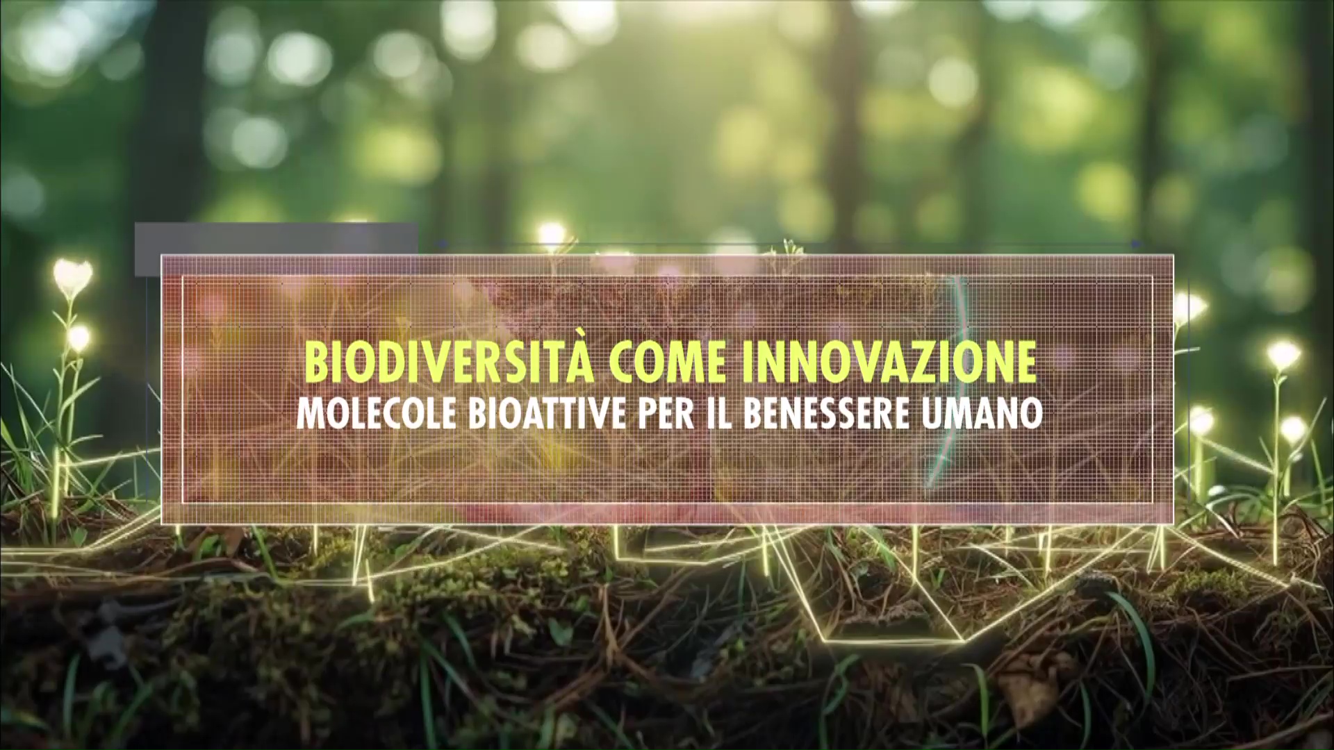 BIODIVERSITA