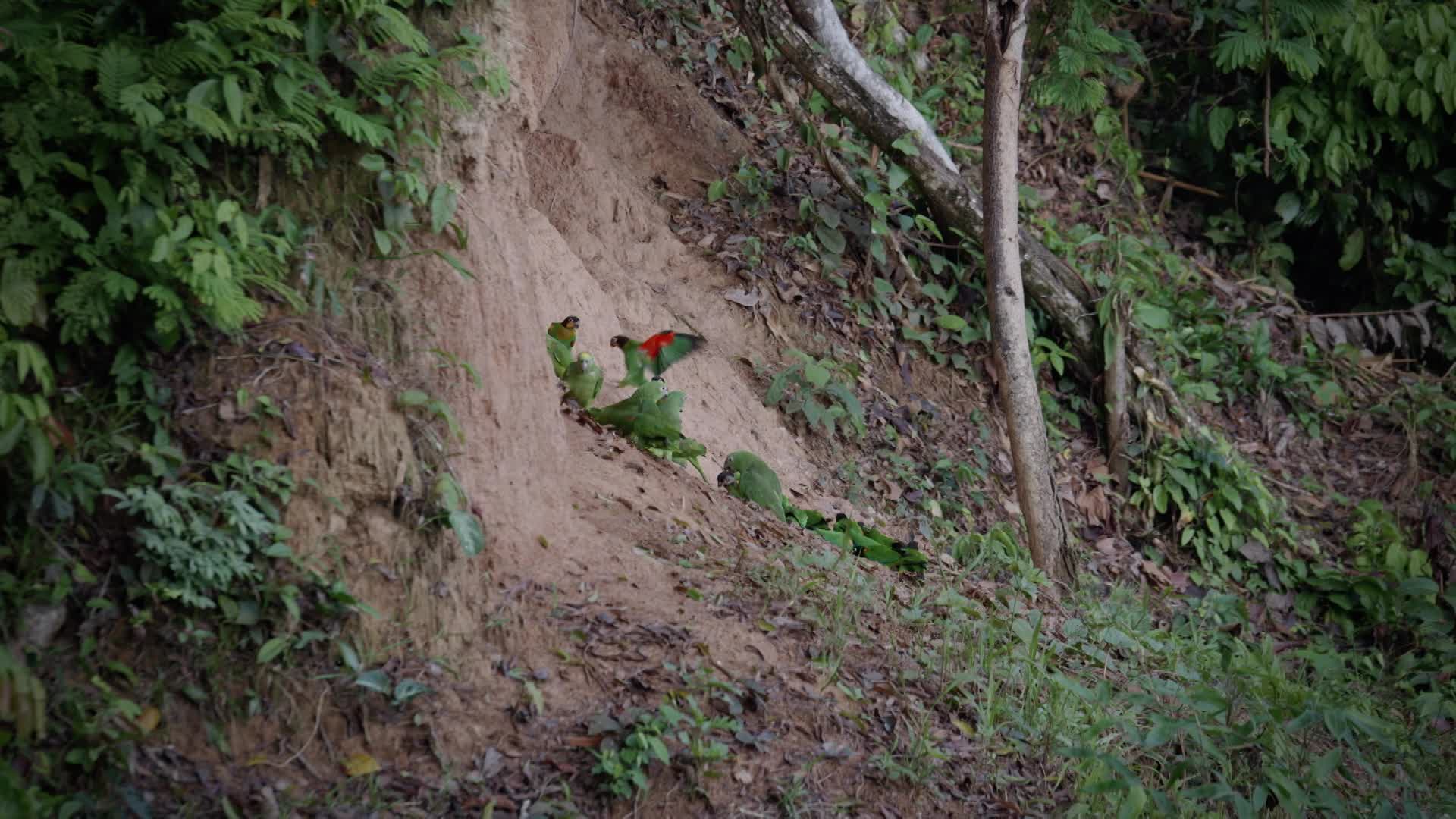 K AROUND THE WORLD S4 EP04 Thumbnail