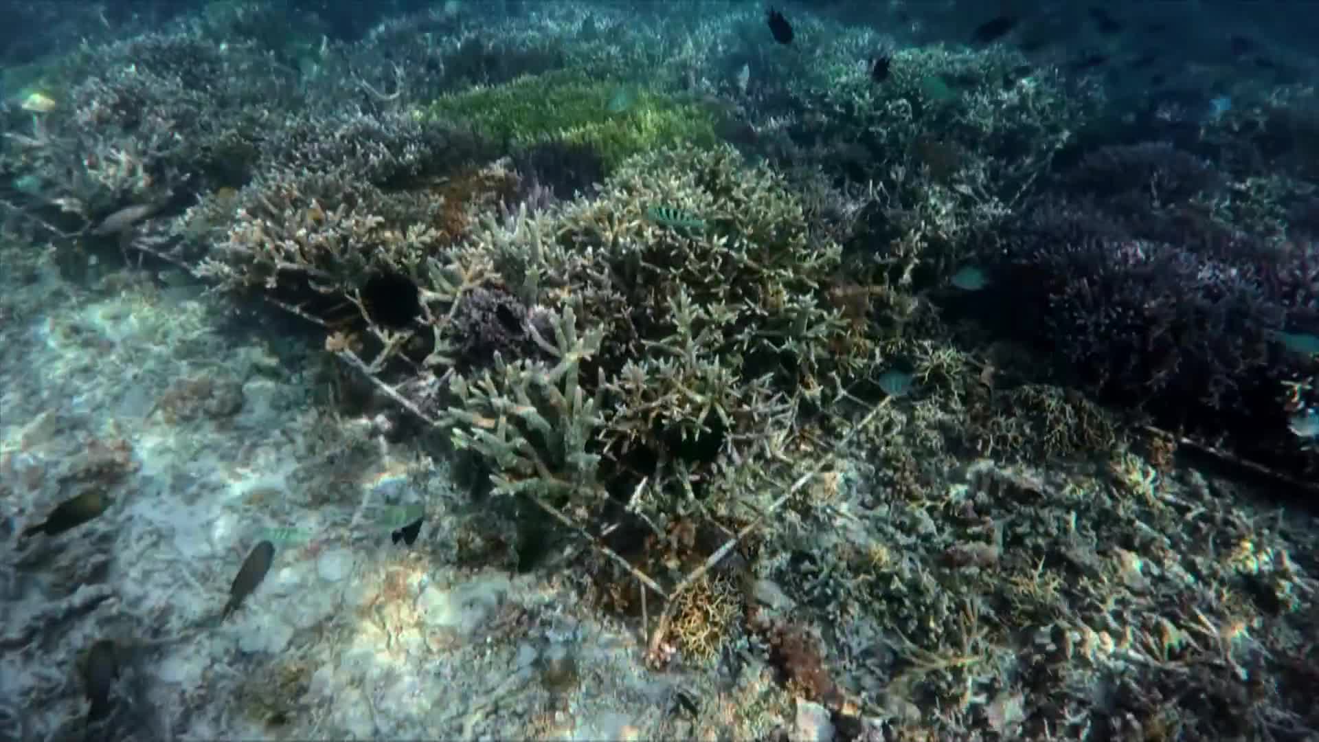 K AROUND THE WORLD S4 EP14 Thumbnail