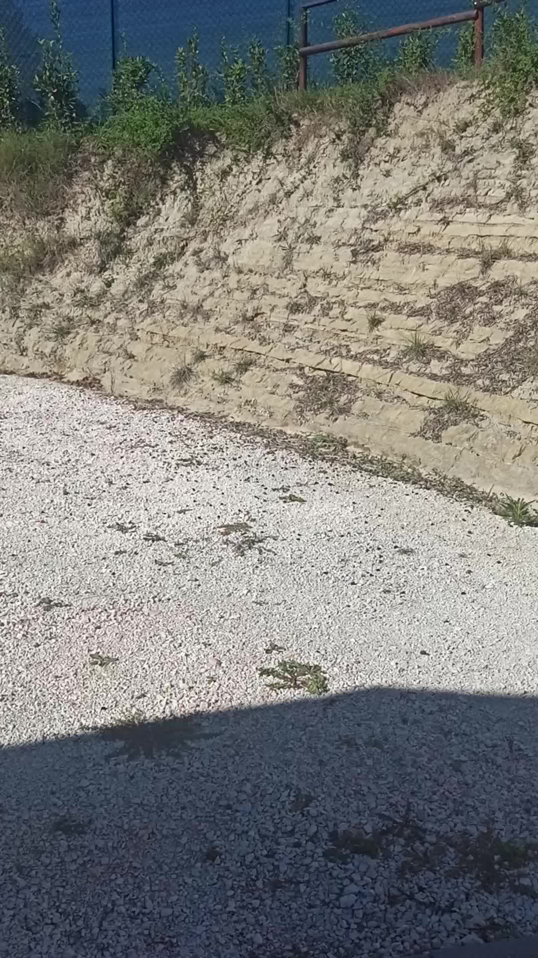 Casale con piscina 4 Thumbnail