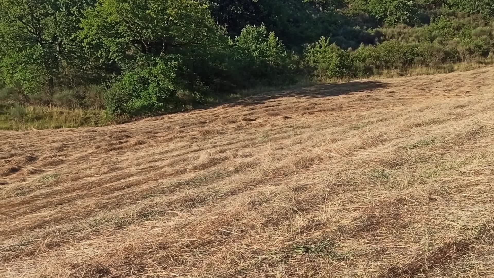 Pieve Torina 2 Thumbnail