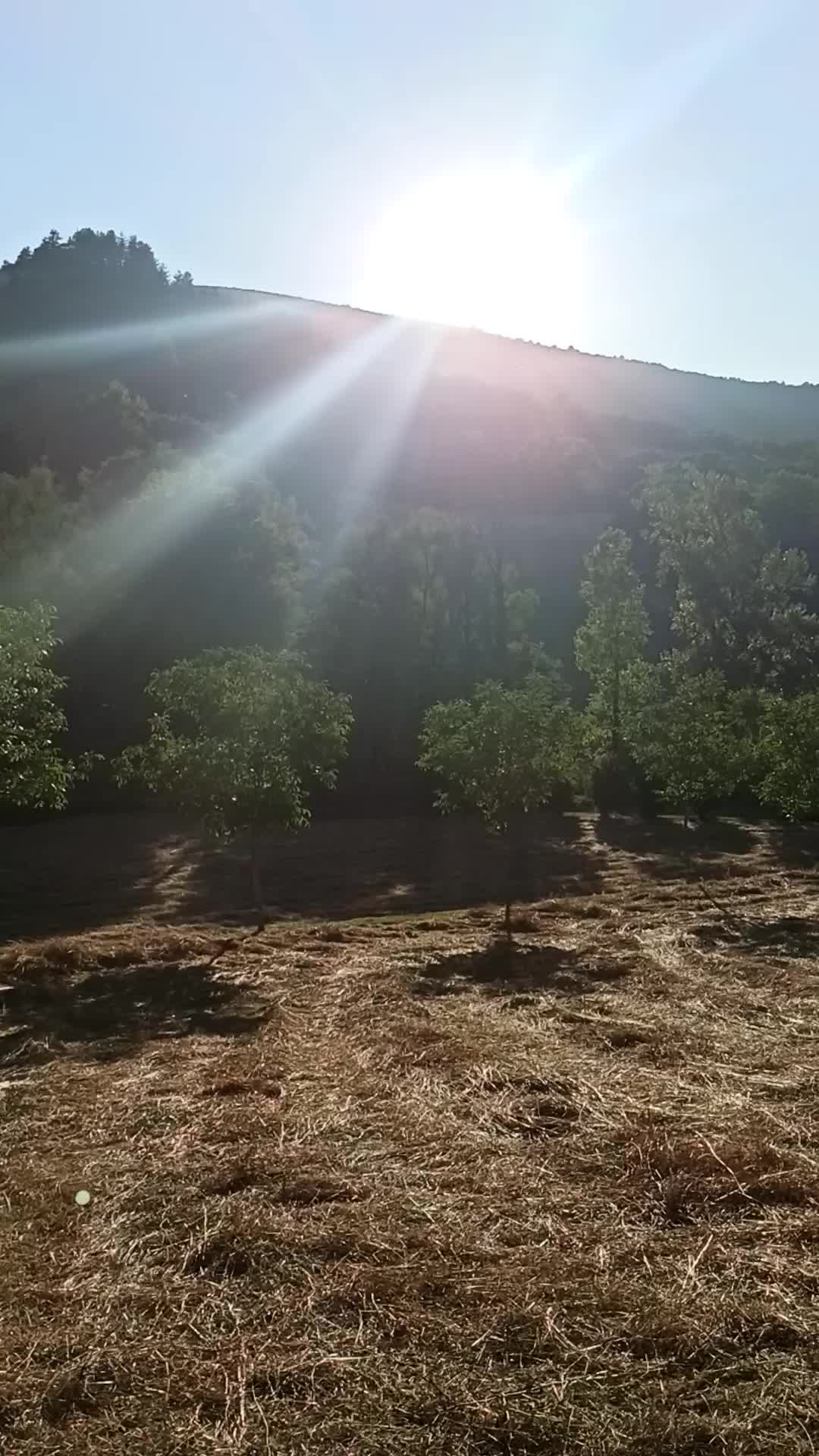 Pieve Torina 3 Thumbnail