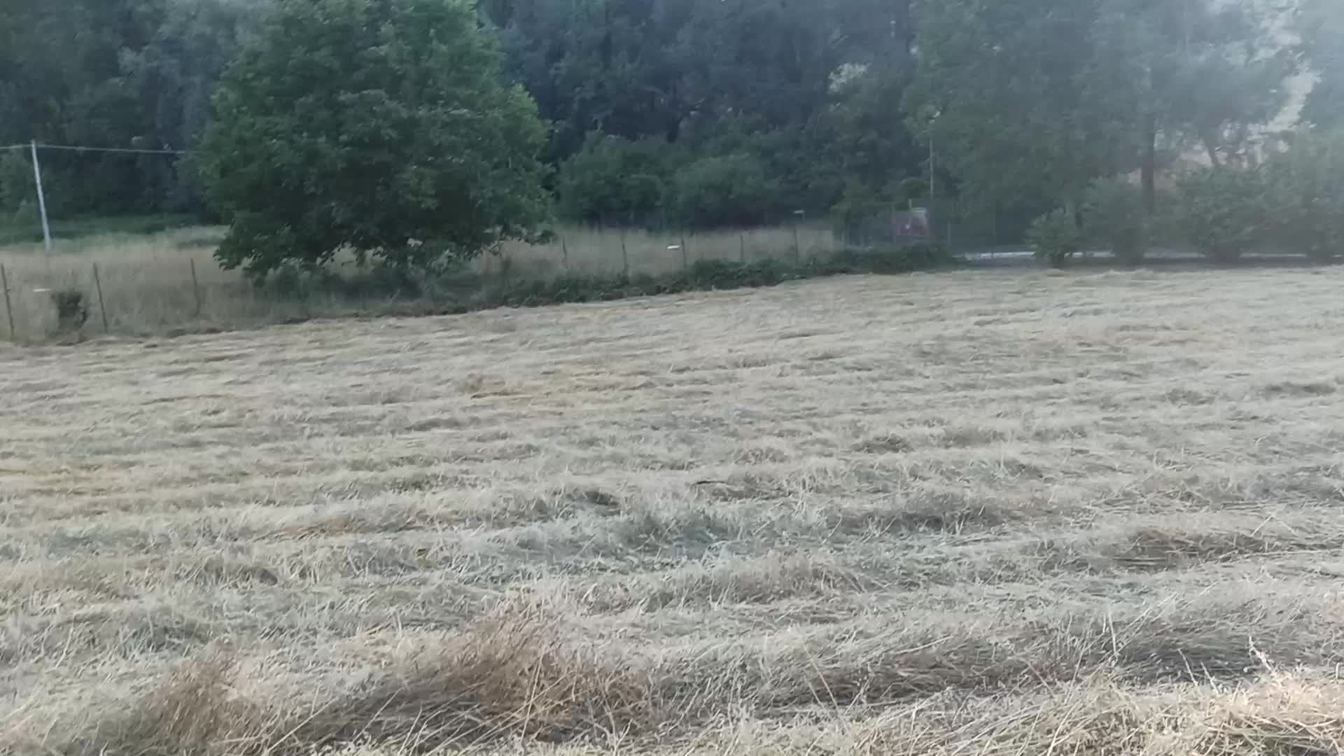 Pieve Torina 4 Thumbnail