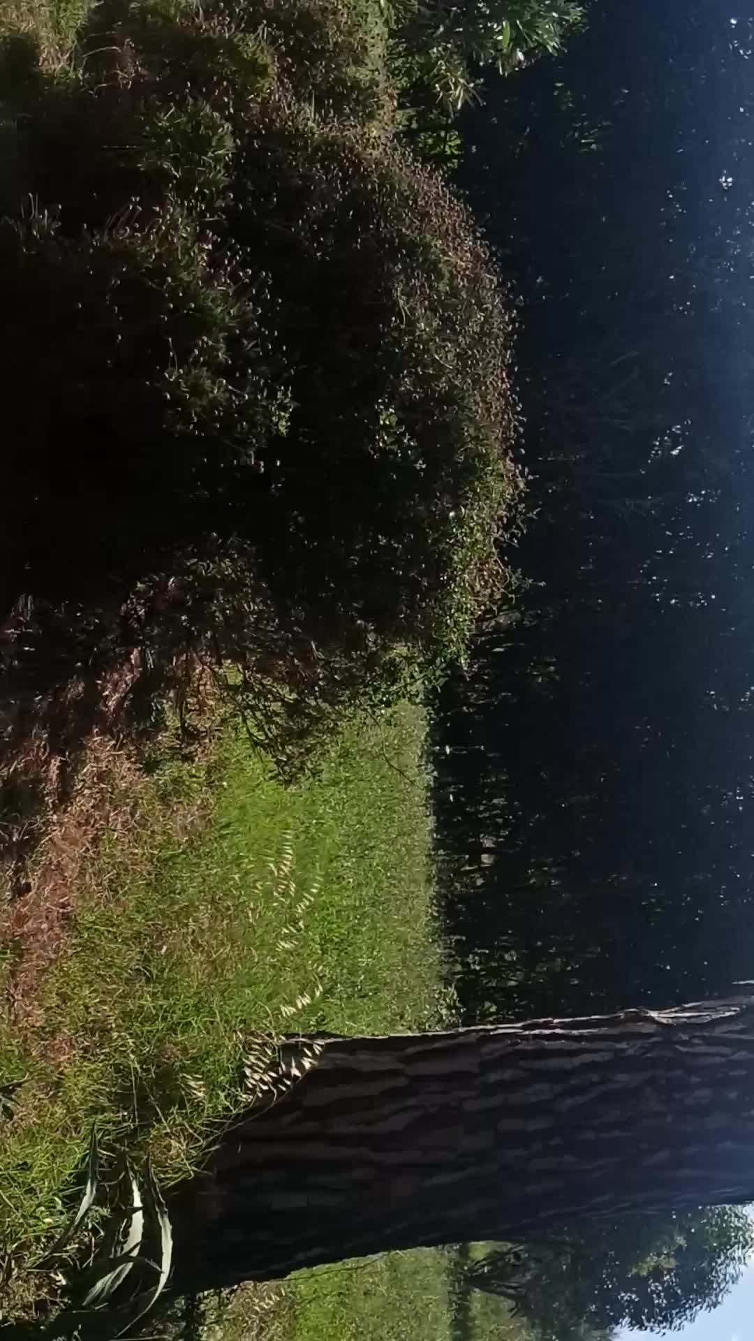 Casale Montecosaro 1 Thumbnail