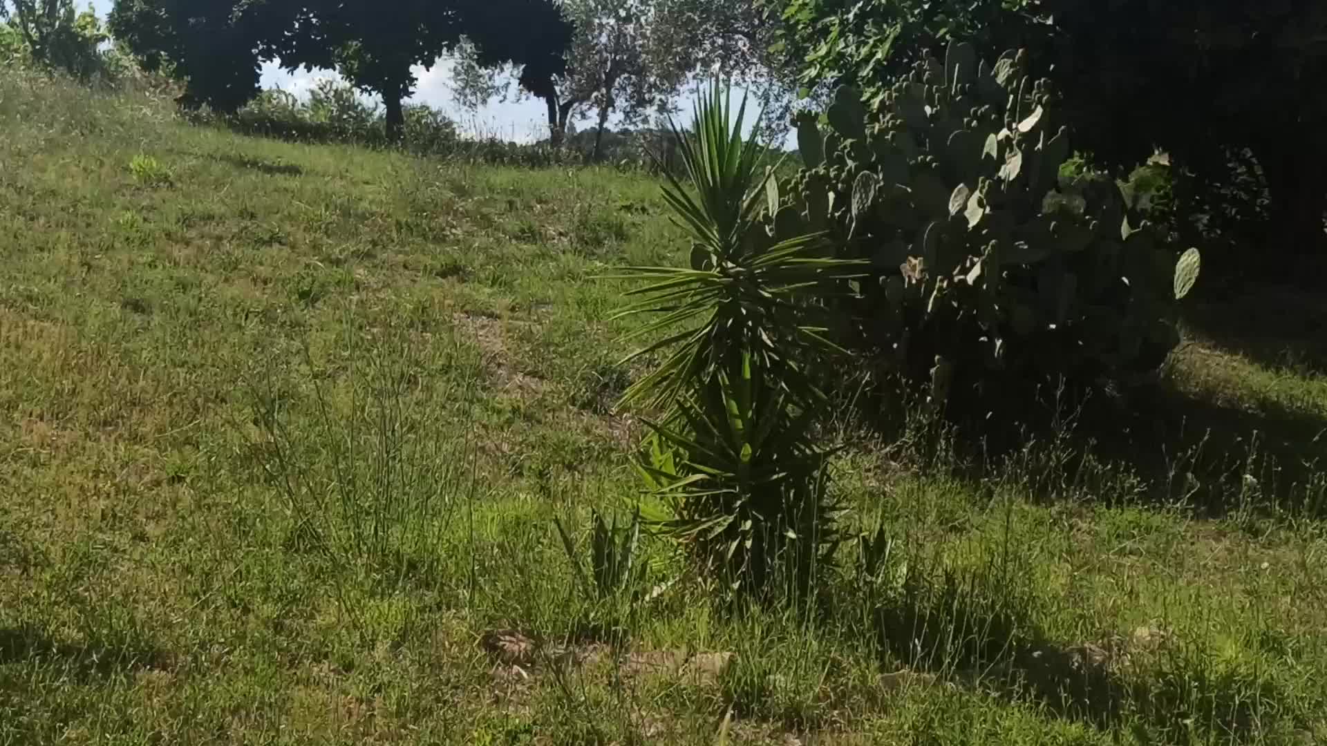 Casale Montecosaro 3 Thumbnail