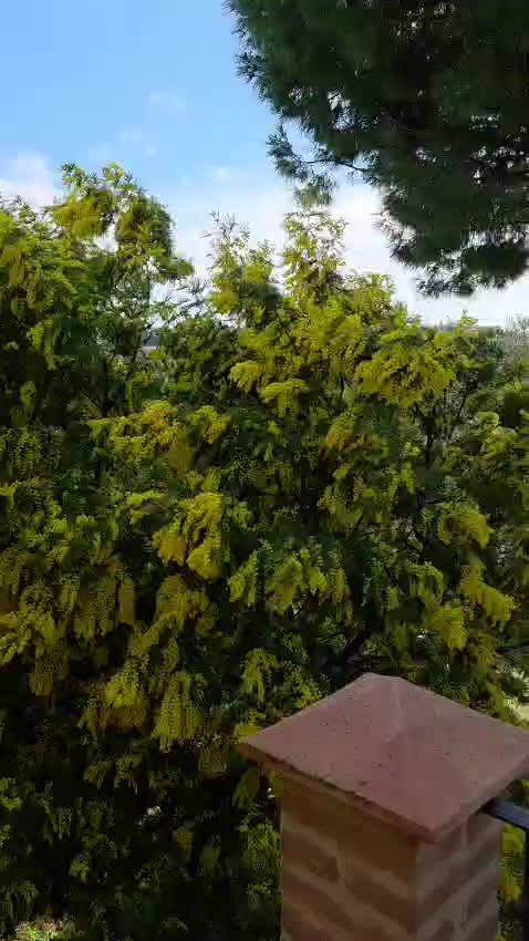 Casale Montecosaro 7 Thumbnail