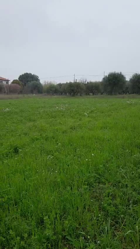 Montecosaro casale via della Repubblica 2 Thumbnail