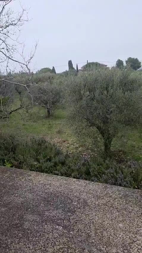 Montecosaro casale via della Repubblica 1 Thumbnail