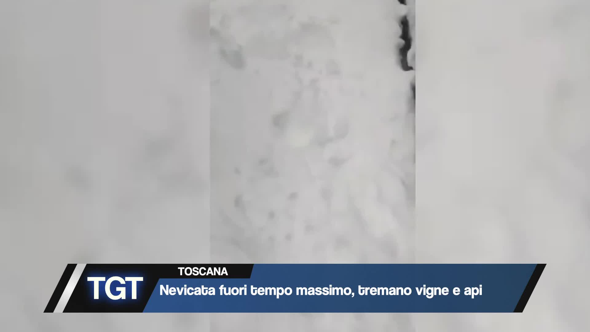 Toscana - Nevicata record fuori stagione Thumbnail
