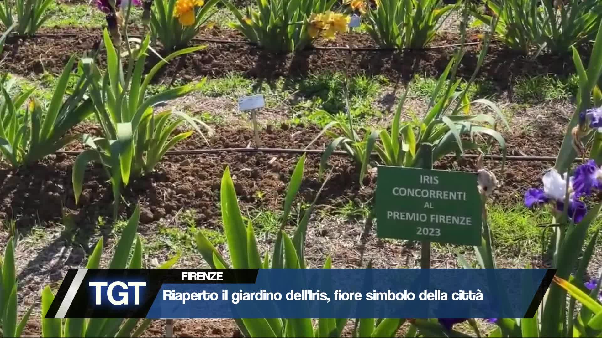 Riaperto il giardino dell