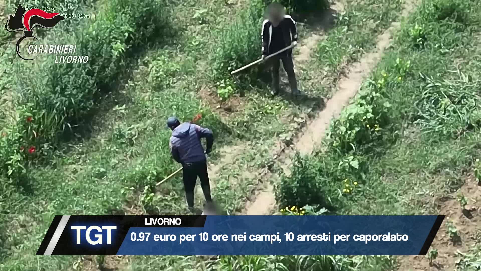 Livorno - Caporalato nei campi, 10 arresti Thumbnail