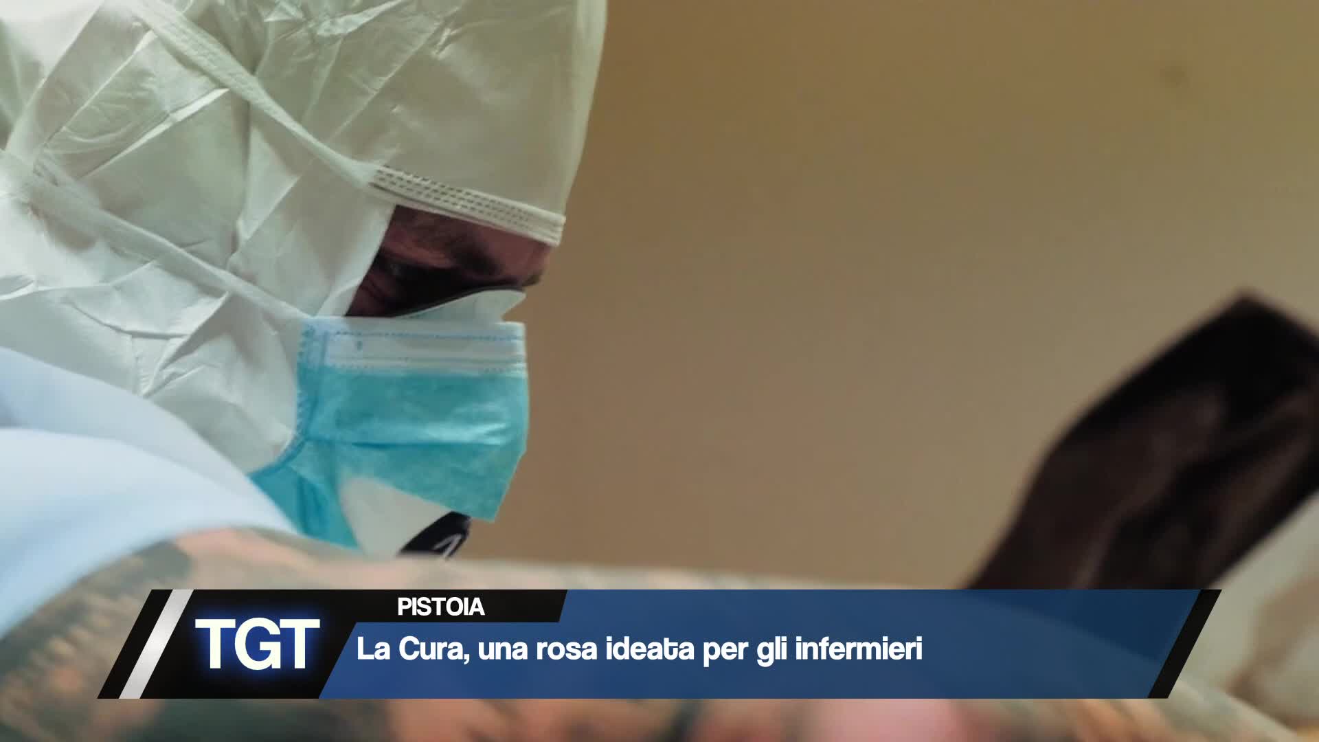 "La cura", una rosa creata per gli infermieri Thumbnail