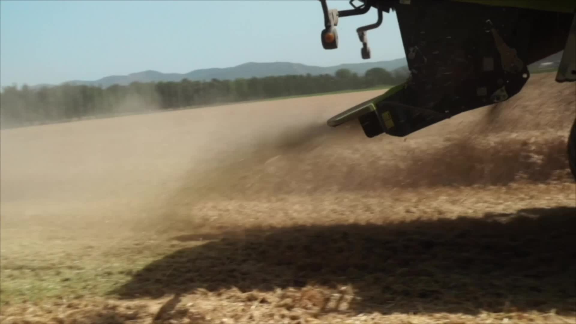 Toscana - Il clima minaccia il grano Thumbnail