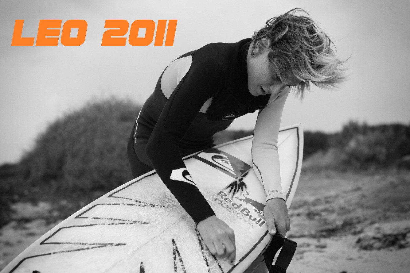 LEO 2011 Thumbnail